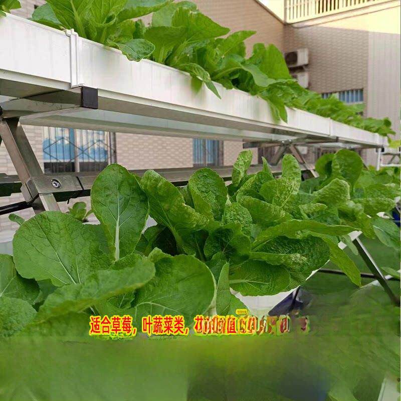 NFT无土栽培蔬菜草莓种植A字架水培设备阳台管道种菜机源头工厂店