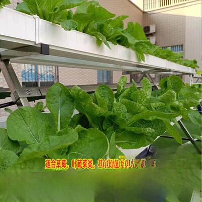 NFT无土栽培蔬菜草莓种植A字架水培设备阳台管道种菜机源头工厂店