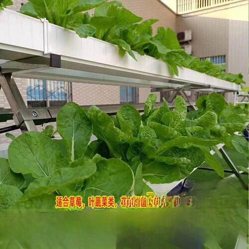 NFT无土栽培蔬菜草莓种植A字架水培设备阳台管道种菜机源头工厂店