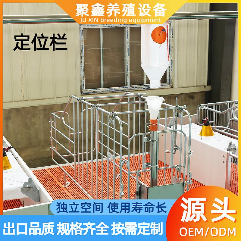 养殖场母猪定位栏落地式限位栏猪用定位栏带槽加厚产床仔猪保育