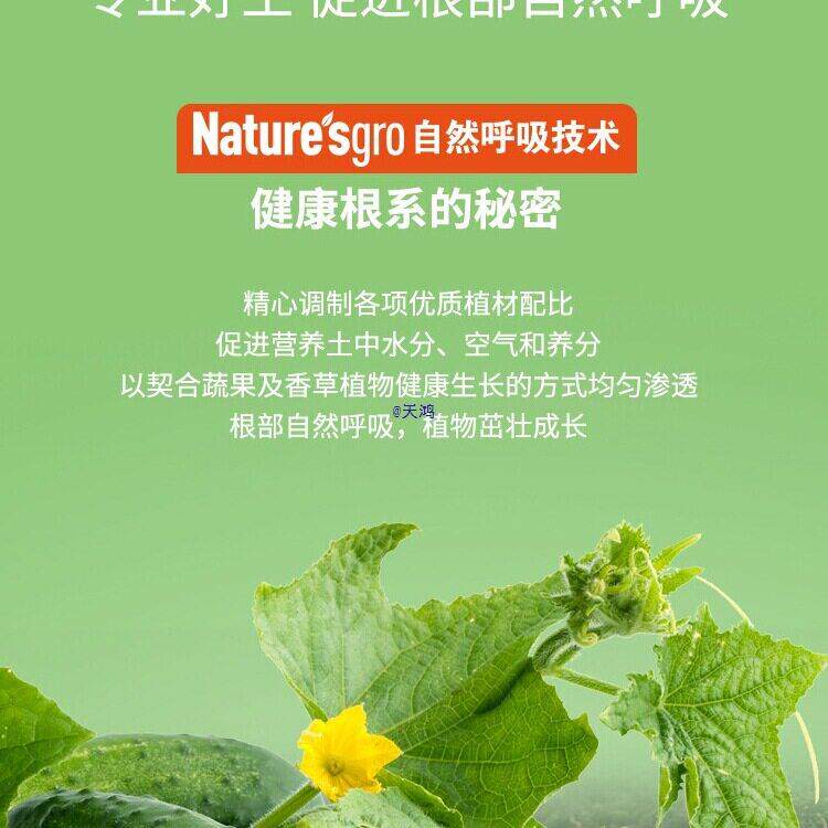 美乐棵蔬果营养液营养土复合蔬菜番茄生菜料果水溶土
