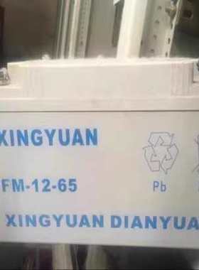 XINGYUAN星源蓄电池FM-12V200A120A100A65A40A24A17A12A7AH免维护