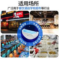 安斯艾爾滅蠅燈餐廳飯店用商鋪驅(qū)滅蒼蠅燈工廠誘粘捕式滅蚊燈商用