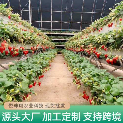 厂家现货高架草莓种植槽无土栽培槽PVC立体种植槽瓜果蔬菜长条槽