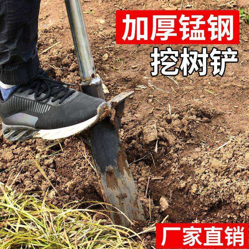挖树铲洛阳铲铁锹锰钢挖坑挖沟洞起苗树根挖土锹挖笋工具