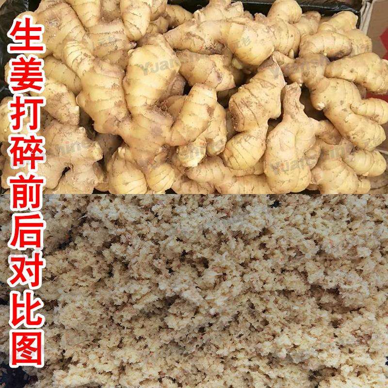 香蕉打泥机蓝莓水果打碎机设备整机不锈钢食物破碎机厂家供应