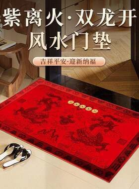 2026马年吉祥物九紫离火双龙开库风水门垫贴真铜钱入户地垫红地毯