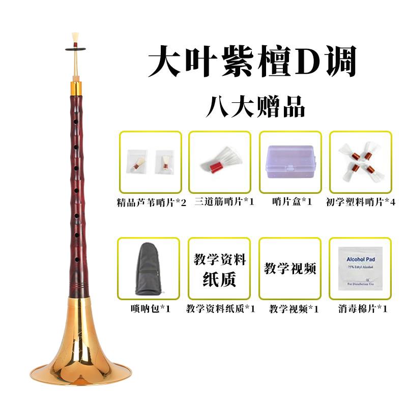 高档新艺乐器精品大叶紫檀唢乐器全套学成人专业演B呐DG奏调喇叭
