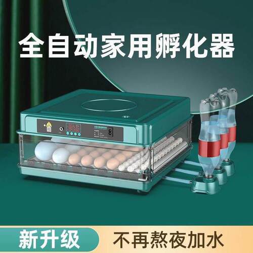 孵化器小型家用全自动智能孵化机鹦鹉鸡鸭鹅鹌鹑孵蛋器迷你孵化箱