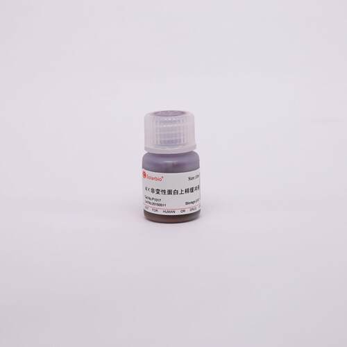 4×非变性蛋白上样缓冲液P1017非变形蛋白上样缓冲液