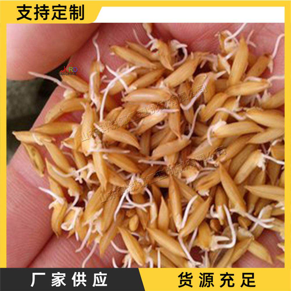 带控温蔬菜种子育芽桶 恒湿玉米水稻种子发芽桶 水稻种子催芽机