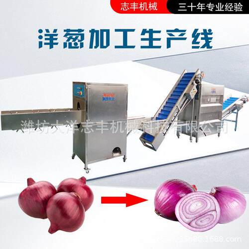 洋葱切根脱皮流水线数控式脱皮切根大小可自行控制圆葱去皮生产线