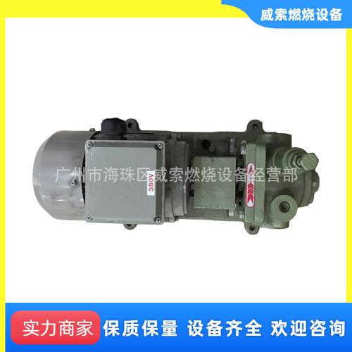 吾丰燃烧器HM250油泵 江苏常能锅炉燃烧机油泵 齿轮油泵