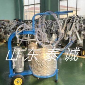 奶牛挤奶机双桶真空（干式泵）挤奶机（本店铺产品需详询后下单）