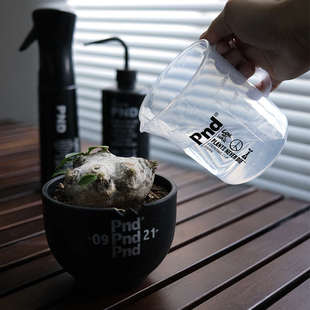 pnd透明量杯带刻度浇水壶块根植物喷壶多肉家用厨房卫生塑料500ml