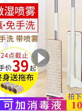 拖把家用一拖净2024新款带喷水雾可多功能自动360度旋转洒水一字