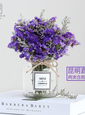 漫生活云南干花真花花束勿忘我带瓶家居装饰摆件小清新文艺北欧风