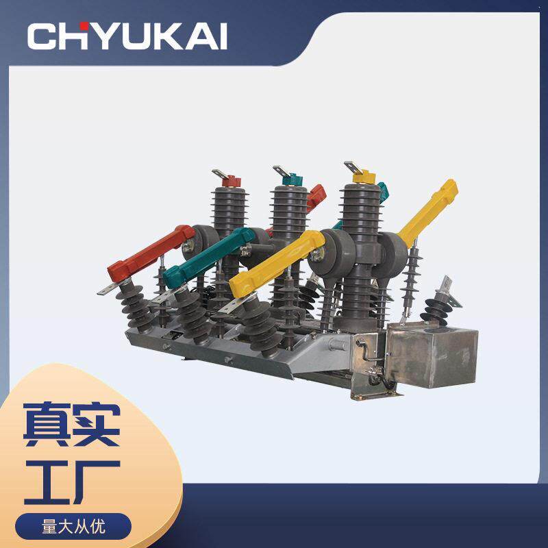 ZW32-12FGG/630-20双电源互投装置看门狗10V带隔离柱上开关