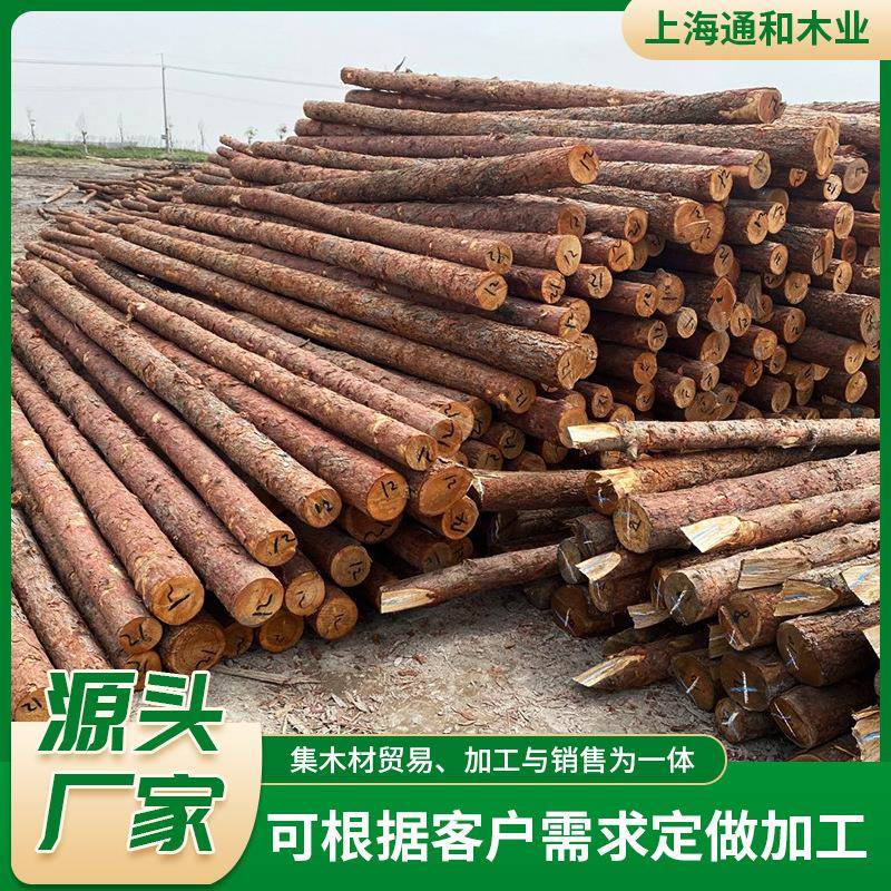 湿地松落叶松原木桩河道防汛打桩松木桩工地建筑用松木桩