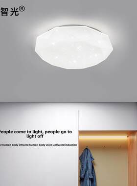 感应吸顶灯Led走廊家用声光控制通道110/220V雷达人体红外楼梯灯