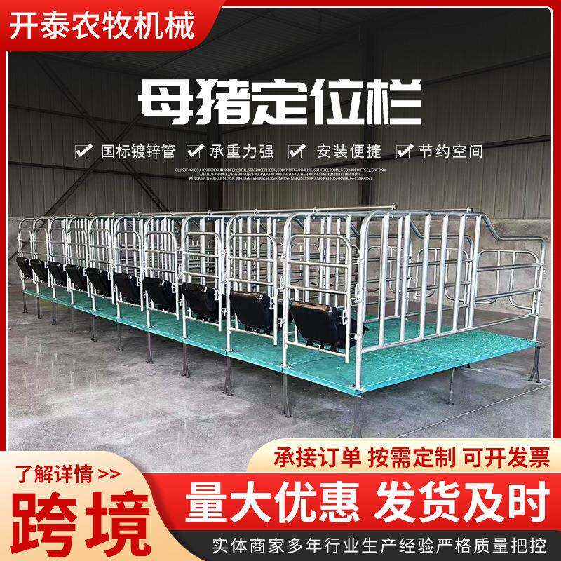 供应母猪定位栏限位栏猪圈栏位猪用复合漏粪板母猪产床保育限位栏