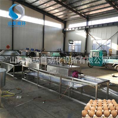 洗蛋机家禽蛋清洗机不锈钢鸡蛋清洗机多功能全自动蛋类清洗机