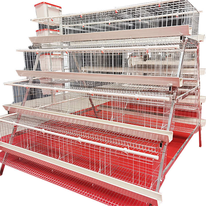 养殖场用阶梯式四层五门白槽蛋鸡笼设备热镀锌养鸡设备厂家直销售