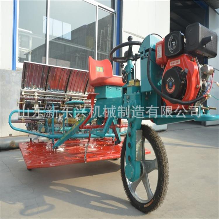 高速水稻插秧机414 水6行8行植乘坐式稻种机 柴油水机稻秧苗机