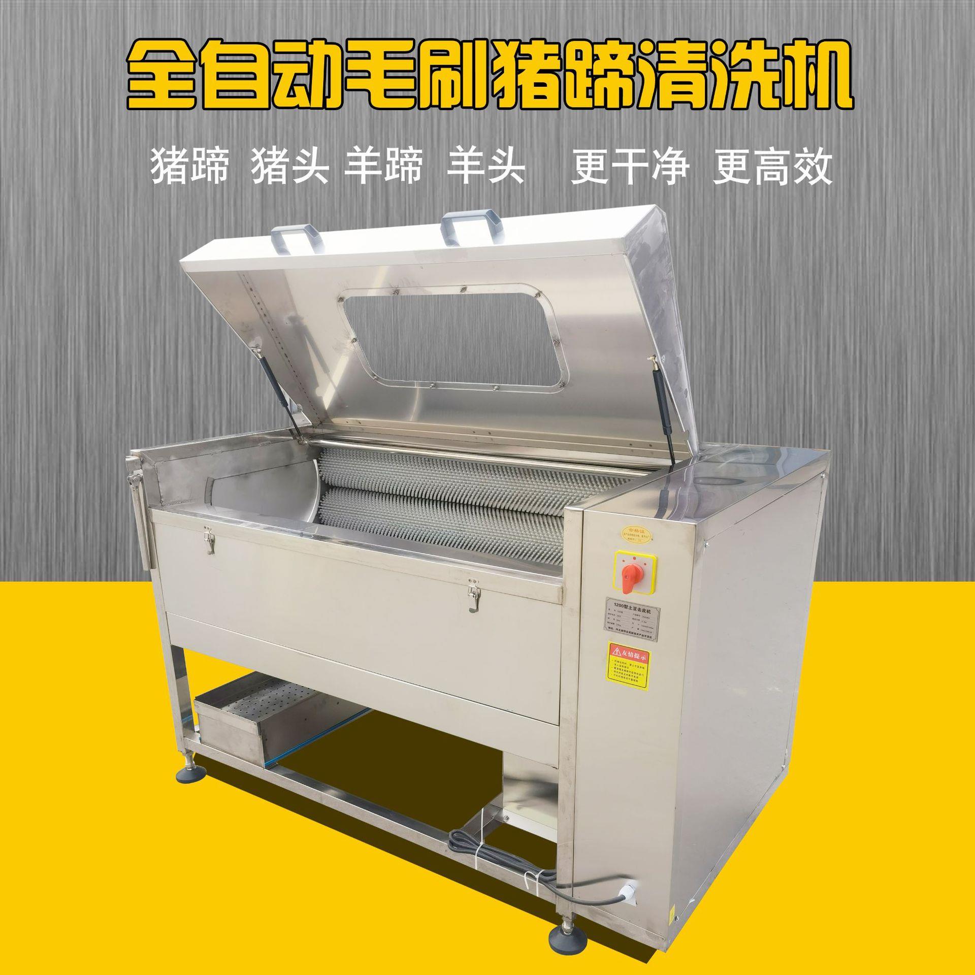 毛刷大枣清洗机商用核桃清洗机全自动红枣清洗抛光机水果清洗机器