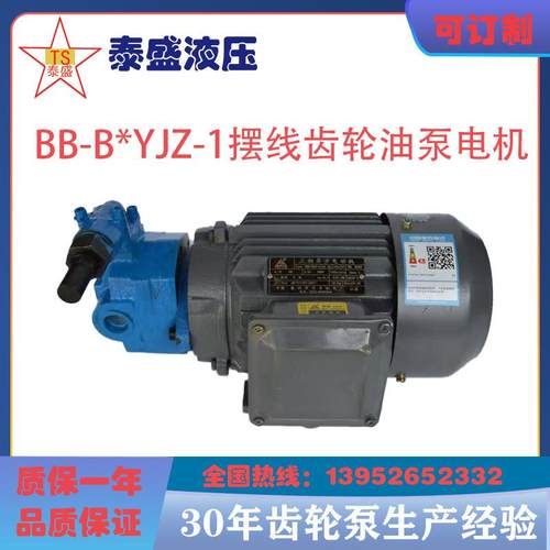 BB-B16/B25YJZ-1摆线齿轮油泵电机BB-B20Y/B32YJZ-1上海东高1.1KW