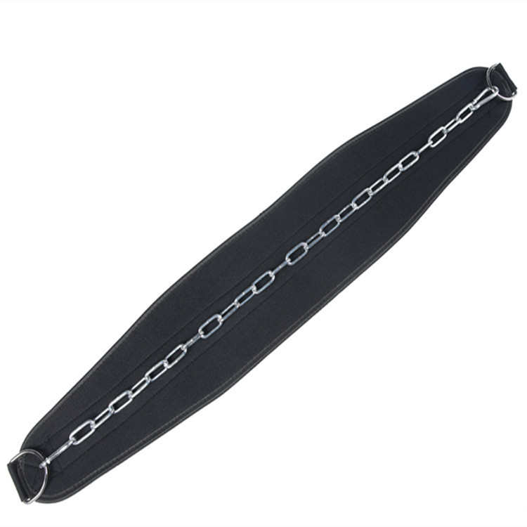 引体向上半身力量负重腰带 商用健美房运动杠铃片腰带 腰部健身器