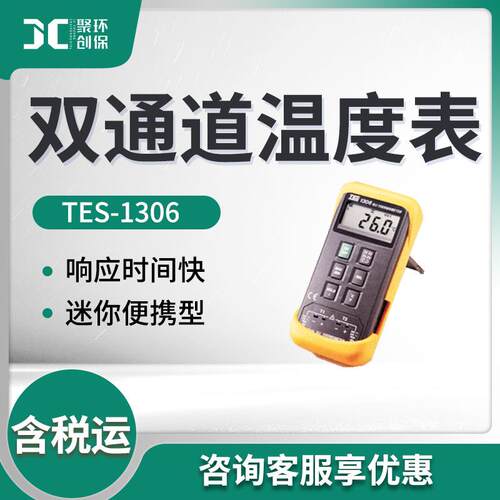 泰仕TES-1306型双通道温度表