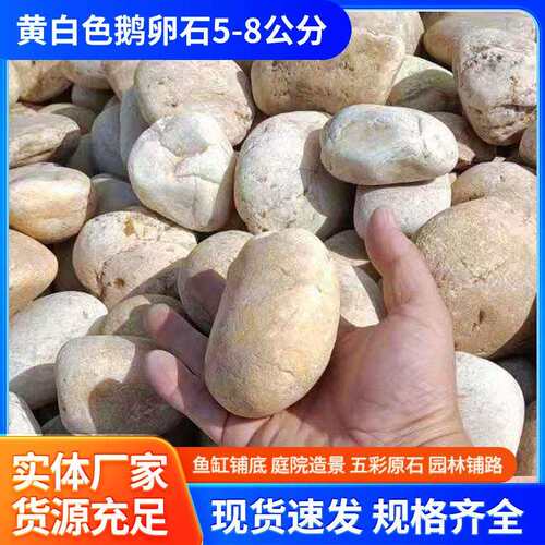 园林景观装饰用黄白色鹅卵石5-8公分水洗石铺路景观石雨花石