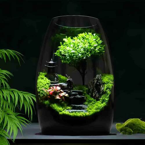 苔藓微景观生态瓶玻璃造景植物盆景办公室桌面diy盆栽装饰小摆件