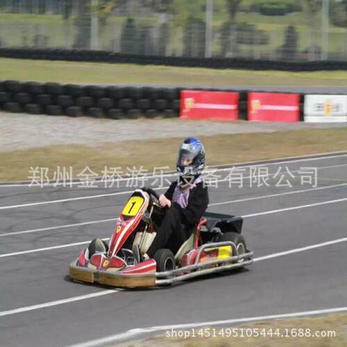 齐售销双户S5-H1001外场地游乐设备汽油卡丁车配件全人双座卡丁车