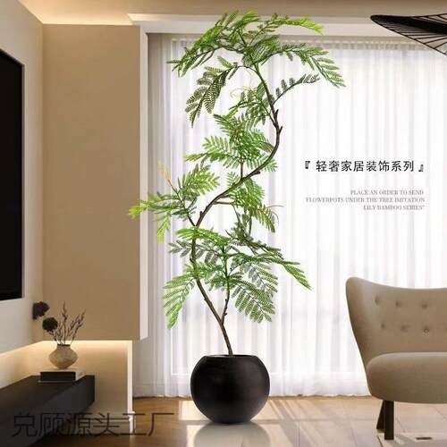 高端轻奢仿真绿植蓝花楹室内客厅大型仿生植物玄关落地装饰摆件