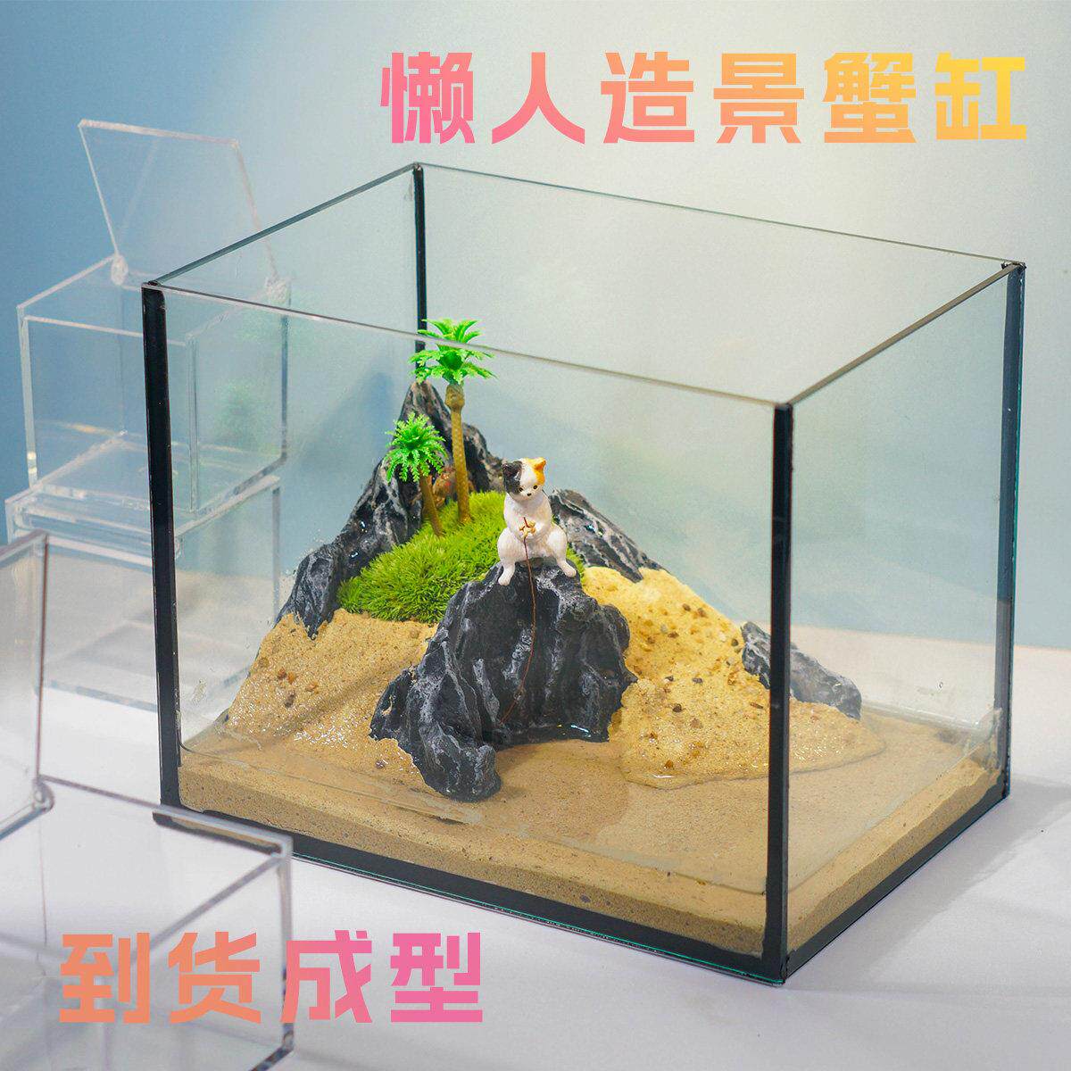 桌面生态缸造景全套植物苔藓小螃蟹乌龟专用饲养缸水陆微景观套餐