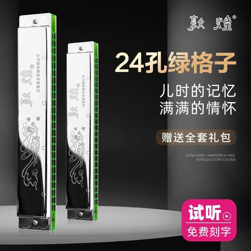 敦煌绿格子24孔复音12调全口琴专业自学习入门演奏乐器送礼推荐款