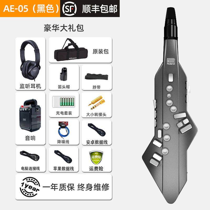 新款罗兰roanEd电吹管乐器A-10l电萨乐克斯风初学者AE05电子管器A