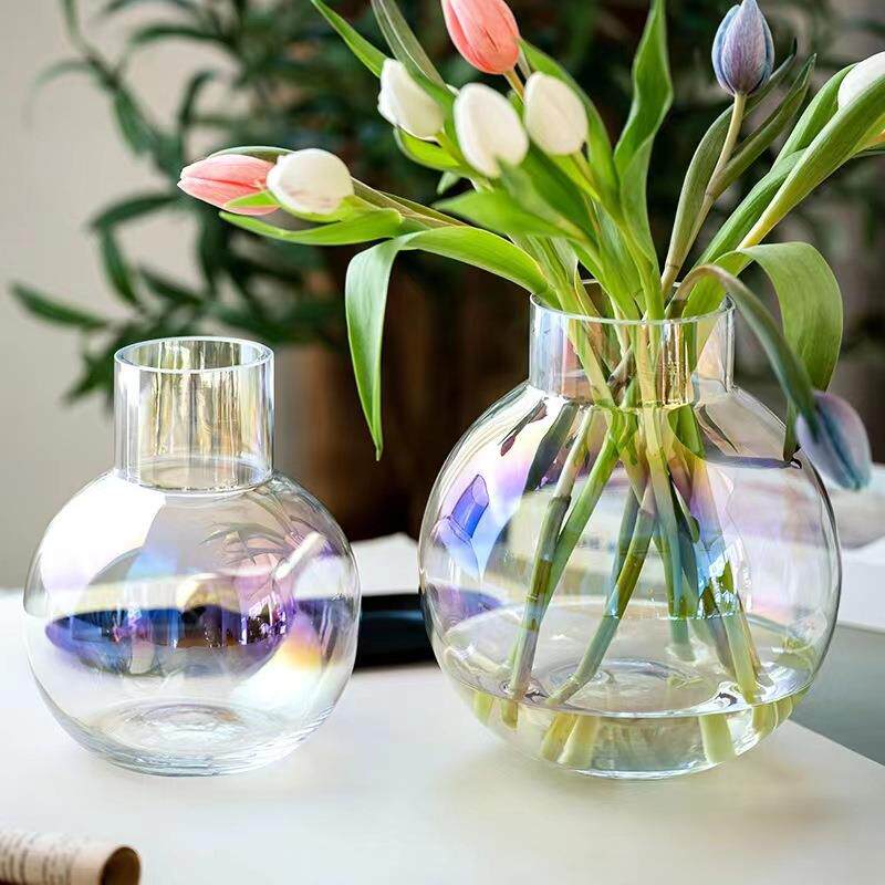 透明简约圆球形玻璃花瓶带脖插花干花花器客厅桌面装饰摆件