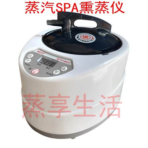 蒸享生活 多功能熏蒸机蒸汽SPA熏蒸仪ER-168头疗器锅发汗薰蒸家用