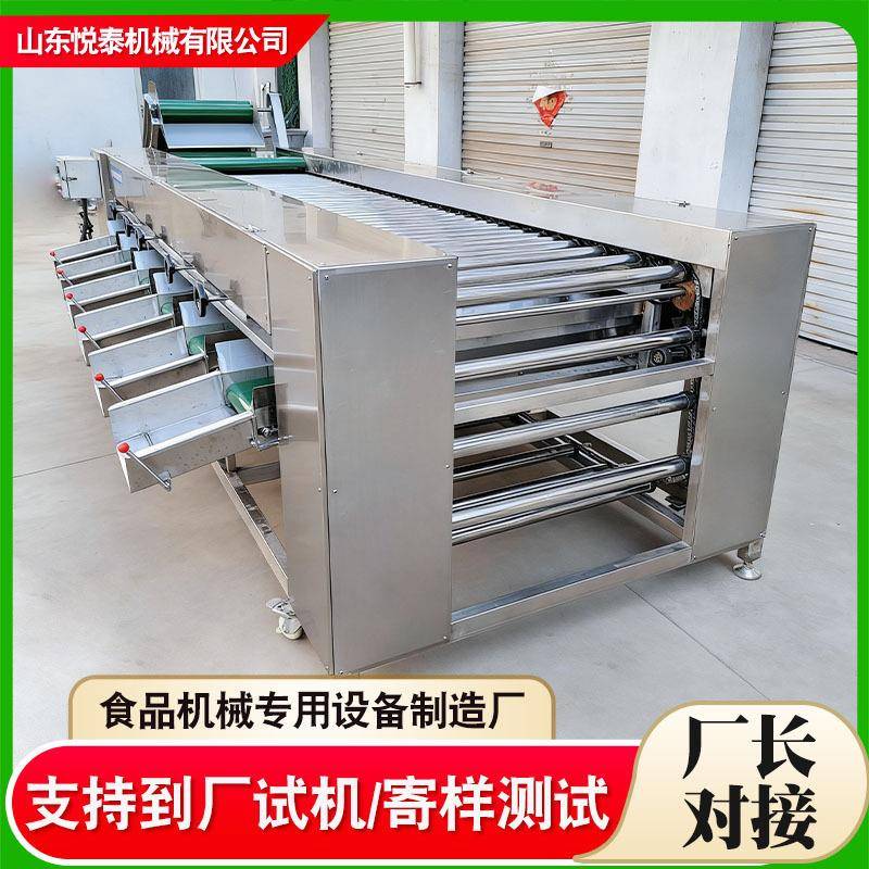 百香果柿子分级筛选机商用蔬菜水果分选机大型滚杠式芒果筛选机