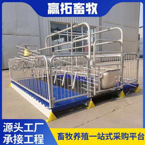 欧式单体母猪产床分娩母猪热浸锌母猪欧式产床双体母猪床养殖设备