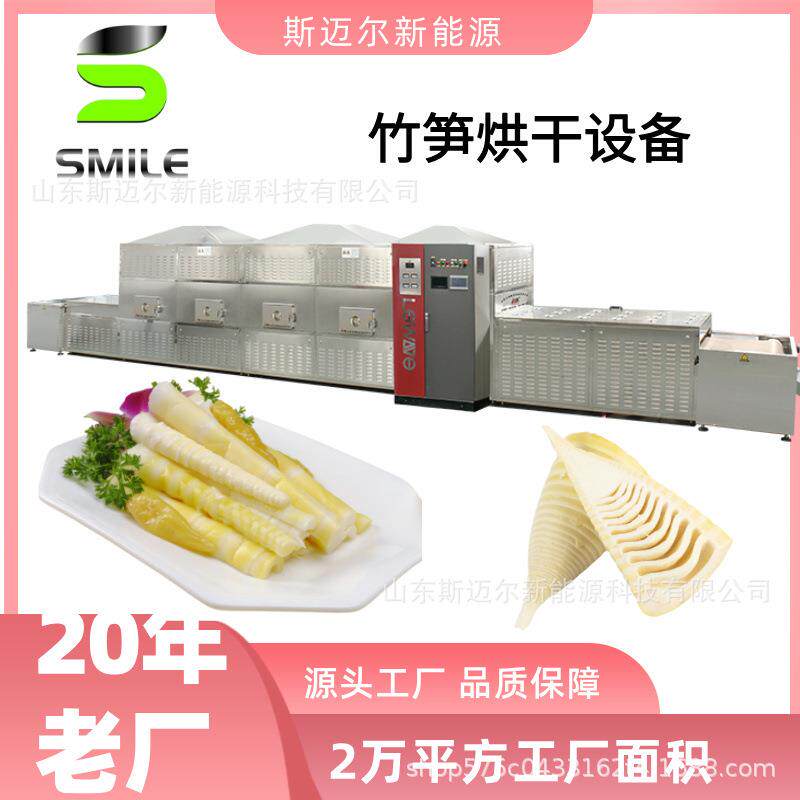 新型微波烘干机香菇菌类烘干设备竹笋脱水干燥设备厂家直营