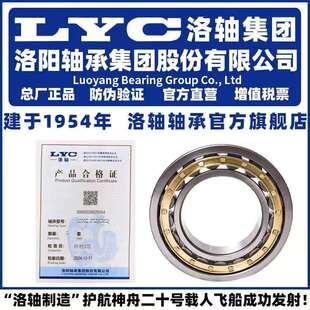 228 洛阳轴承集团 LYC 236 NUP 232 230 226 234