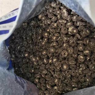 优质品祁坛三明治全价猫粮圈鸡味小猫成猫冻干中性猫育肥