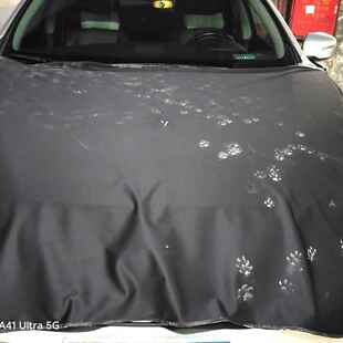 汽车机盖保护布引擎盖防护罩防猫抓宠物护垫阻挡鸟屎灰尘雨雪布套