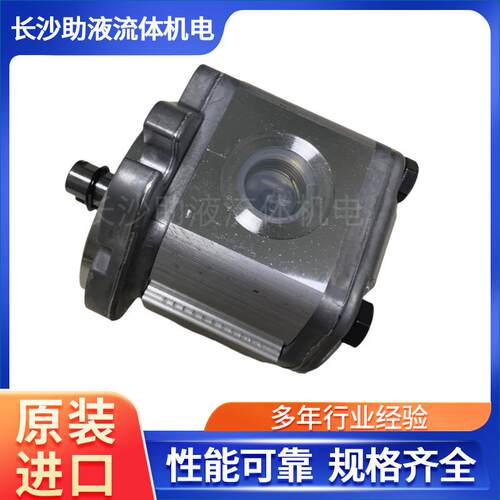 马祖奇ALP2A-D-30液压系统齿轮泵橡塑设备齿轮泵