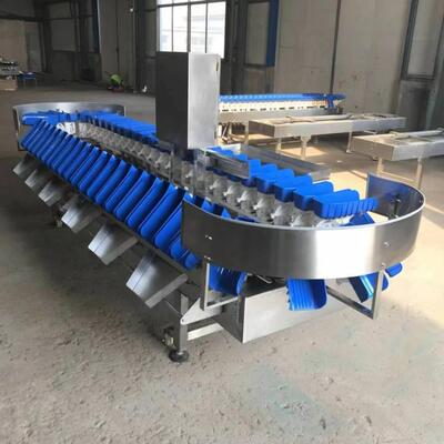 厂家海鲜等级分拣机6级干湿海参重量分选机材质好使用寿命长