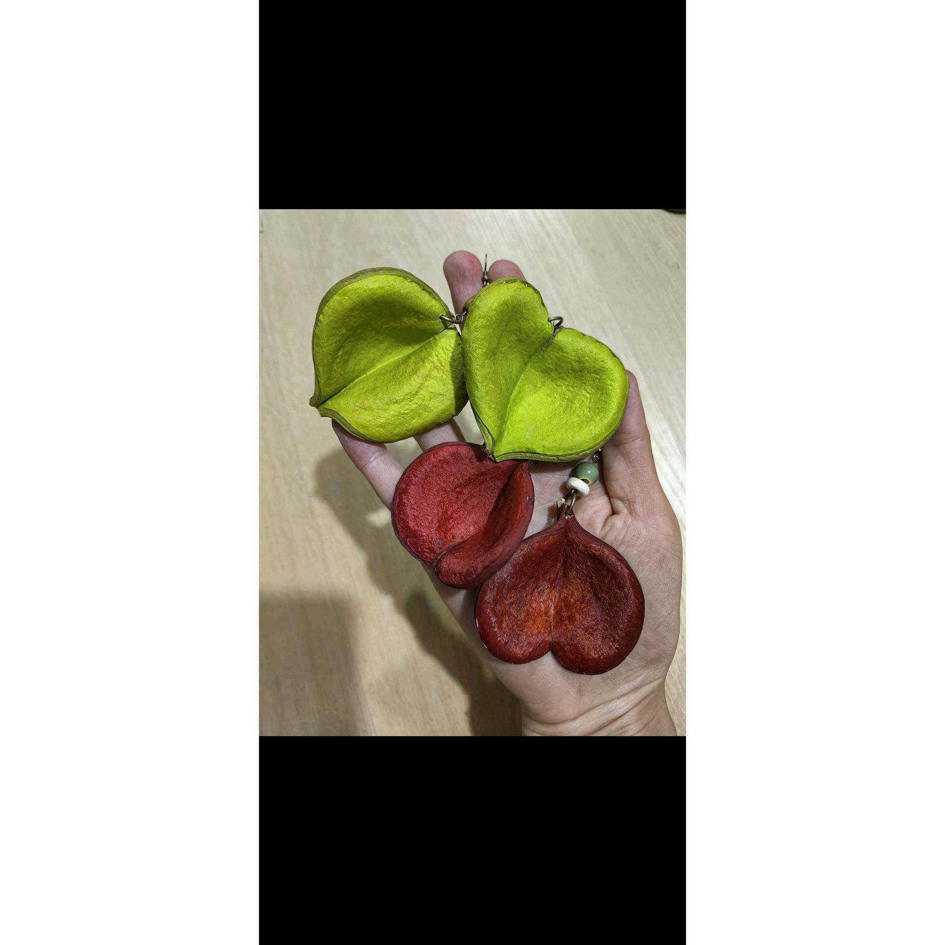 枝枝叶子同款进口干果耳环天然植物爱心壳小心壳果实耳环改耳夹